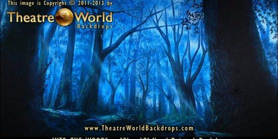 Into-The-Woods-Blog-Image