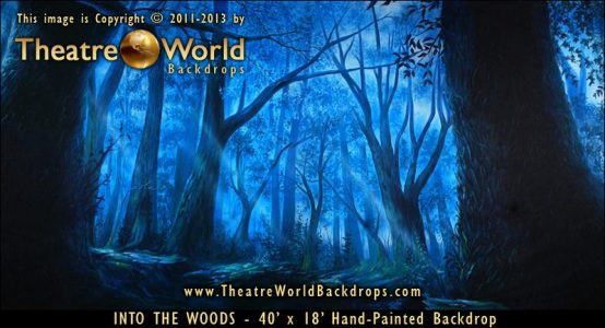 Into The Woods Scenic Backdrop