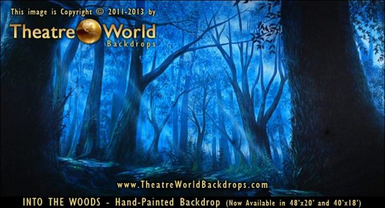 Into The Woods Scenic Backdrop
