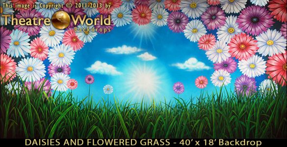 Daisies and Flowered Grass Scenic Backdrop