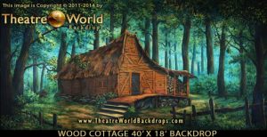 Wood Cottage Scenic Backdrop