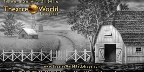 Black-and-White-Prairie-Farm-Backdrop Black and White Prairie Farm