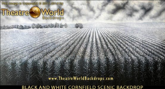 TheatreWorld's Professional Scenic Black and White Cornfield Backdrop