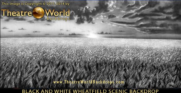 Professional Scenic Backdrop Black and White Wheat Field