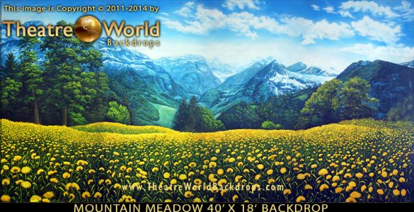 Professional Scenic Backdrop Mountain Meadow