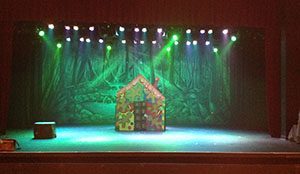 Stage Productions Family Theatre using TheatreWorld's Professional Scenic Backdrop Extremely Dark Forest