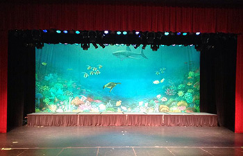 Coral Kingdom Backdrop at the Largo Cultural Center