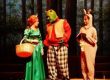 the cast of SHREK THE MUSICAL using TheatreWorld's Tranquil Woods backdrop
