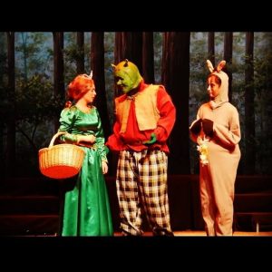 Tranquil Woods Professional Scenic Backdrop Shrek the Musical Production