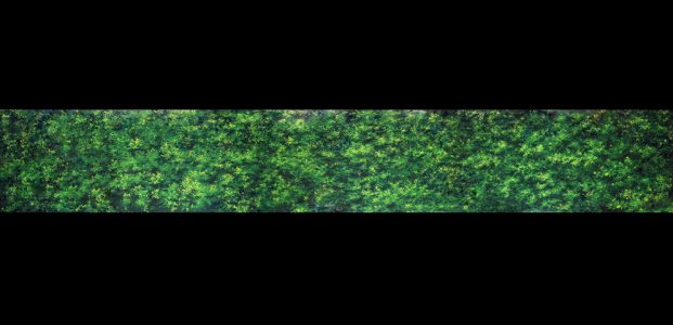 Tranquil Woods Professional Scenic Header, Alice in Wonderland