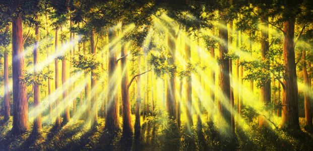 Tranquil Woods Sunrise Professional Scenic Alice in Wonderland Backdrop