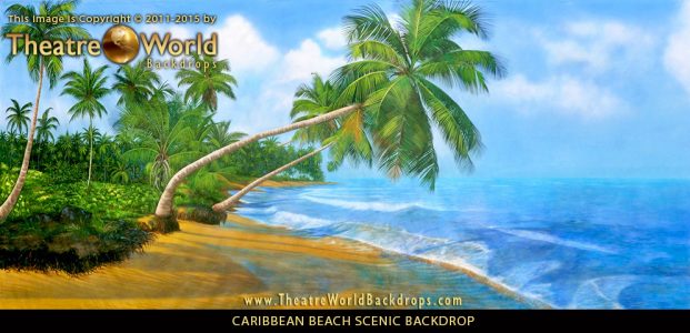 Professional Scenic Backdrop Caribbean Beach