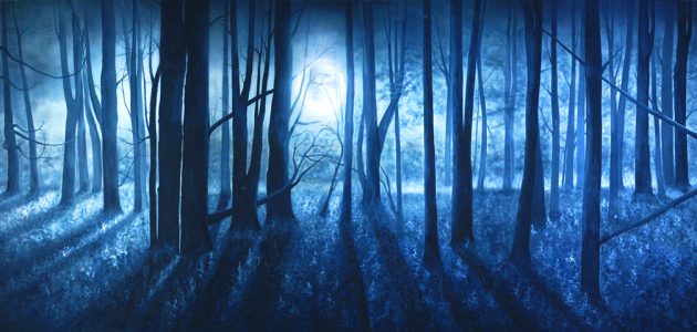 Professional Cinderella Blue Full Moon Scenic Backdrop