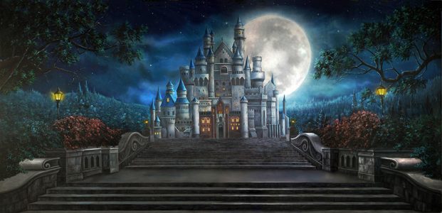 Professional Cinderella Enchanted Castle Scenic Backdrop