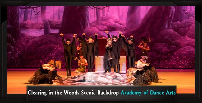 ACADEMY OF DANCE ARTS CLEARING IN THE WOODS