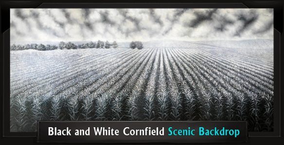 BLACK AND WHITE CORNFIELD Professional Scenic Color Purple Backdrop