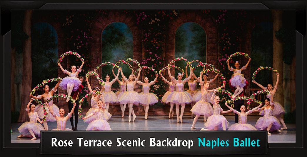 NAPLES BALLET ROSE TERRACE with Frame