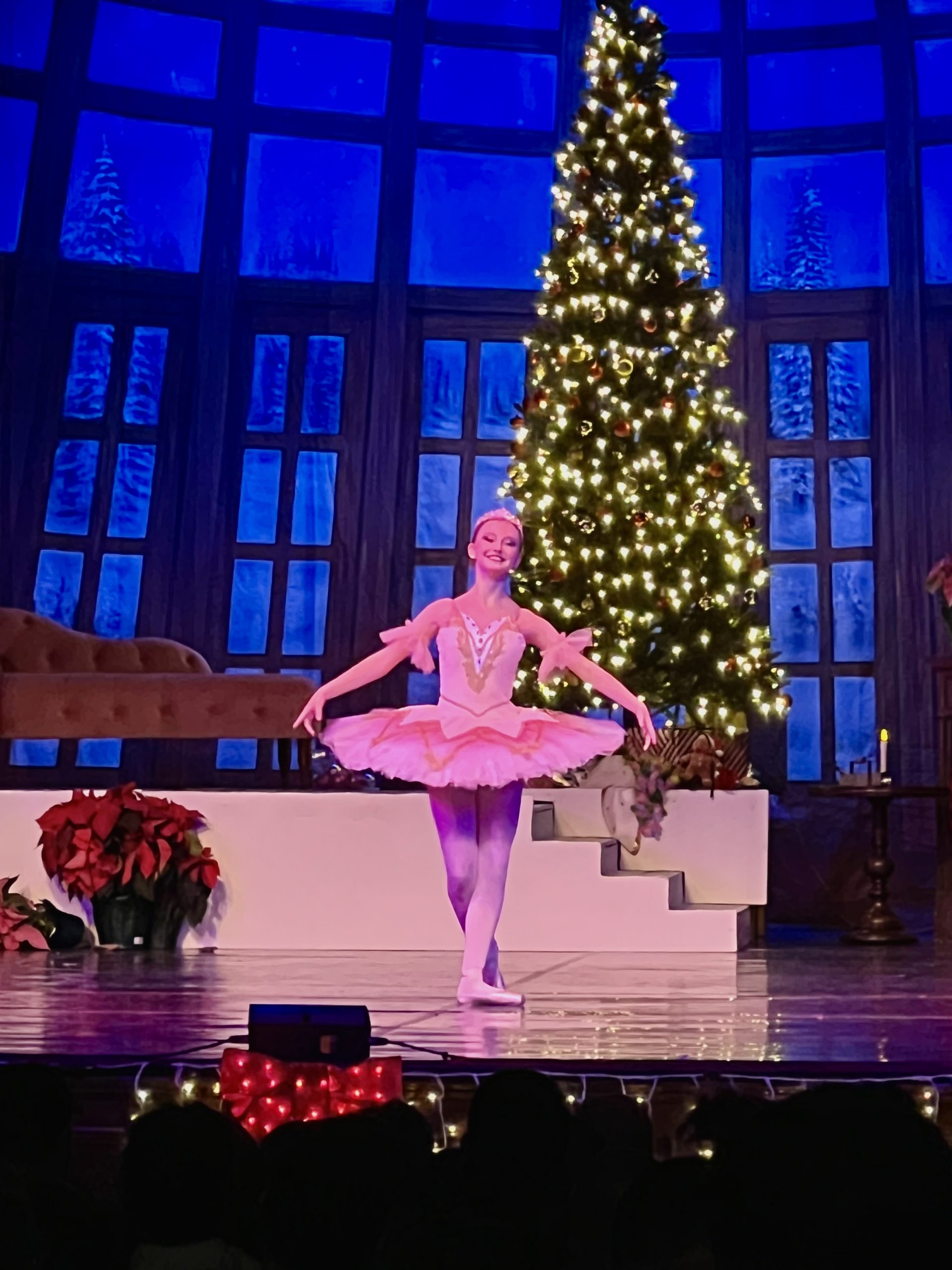 Axis Dance Co GLASS PALACE FOYER Scenic Backdrop