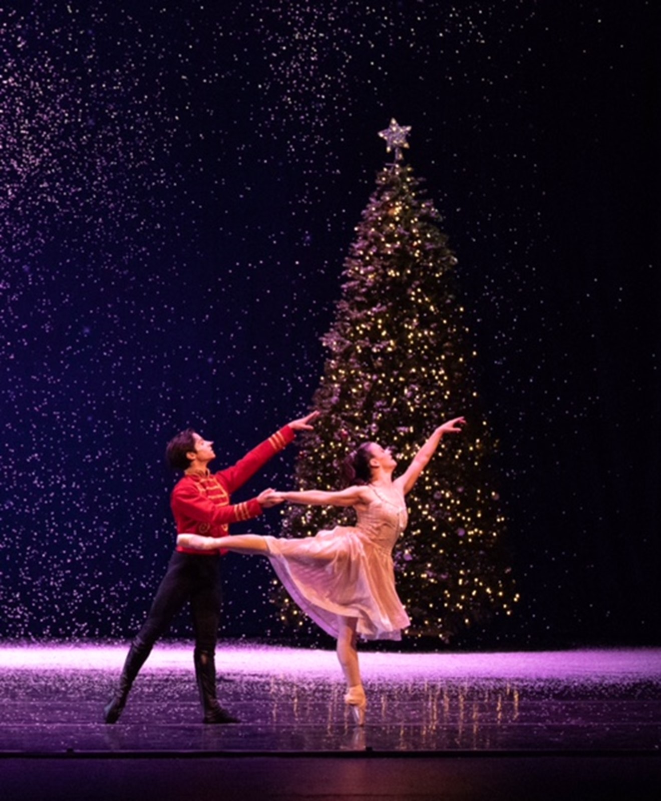 DIABLO BALLET STARRY NIGHT Professional Scenic Backdrop