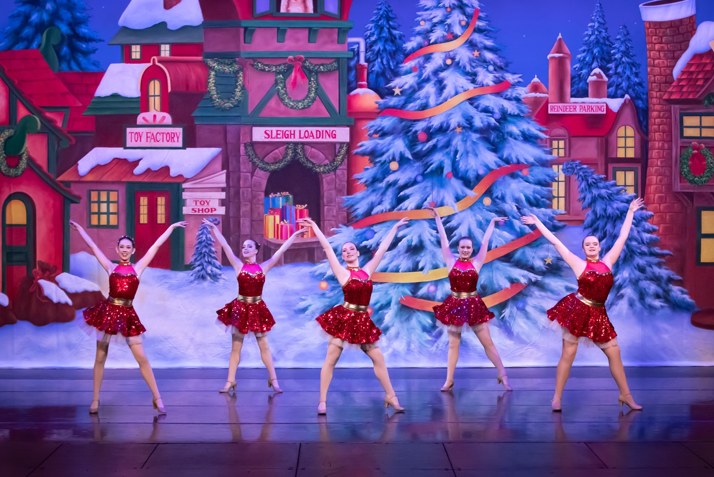 Miss Diana's School of Ballet SANTA'S VILLAGE Professional Scenic Backdrop