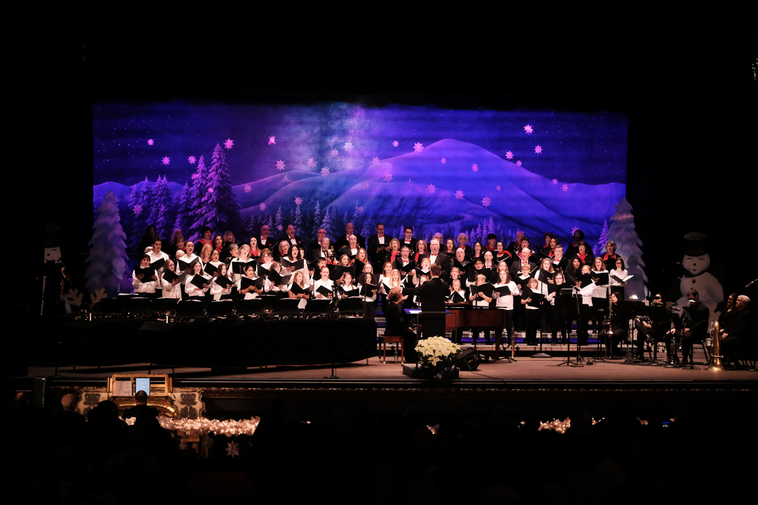 Saginaw Choral Society WINTER MOUNTAIN AT NIGHT Professional Scenic Backdrop