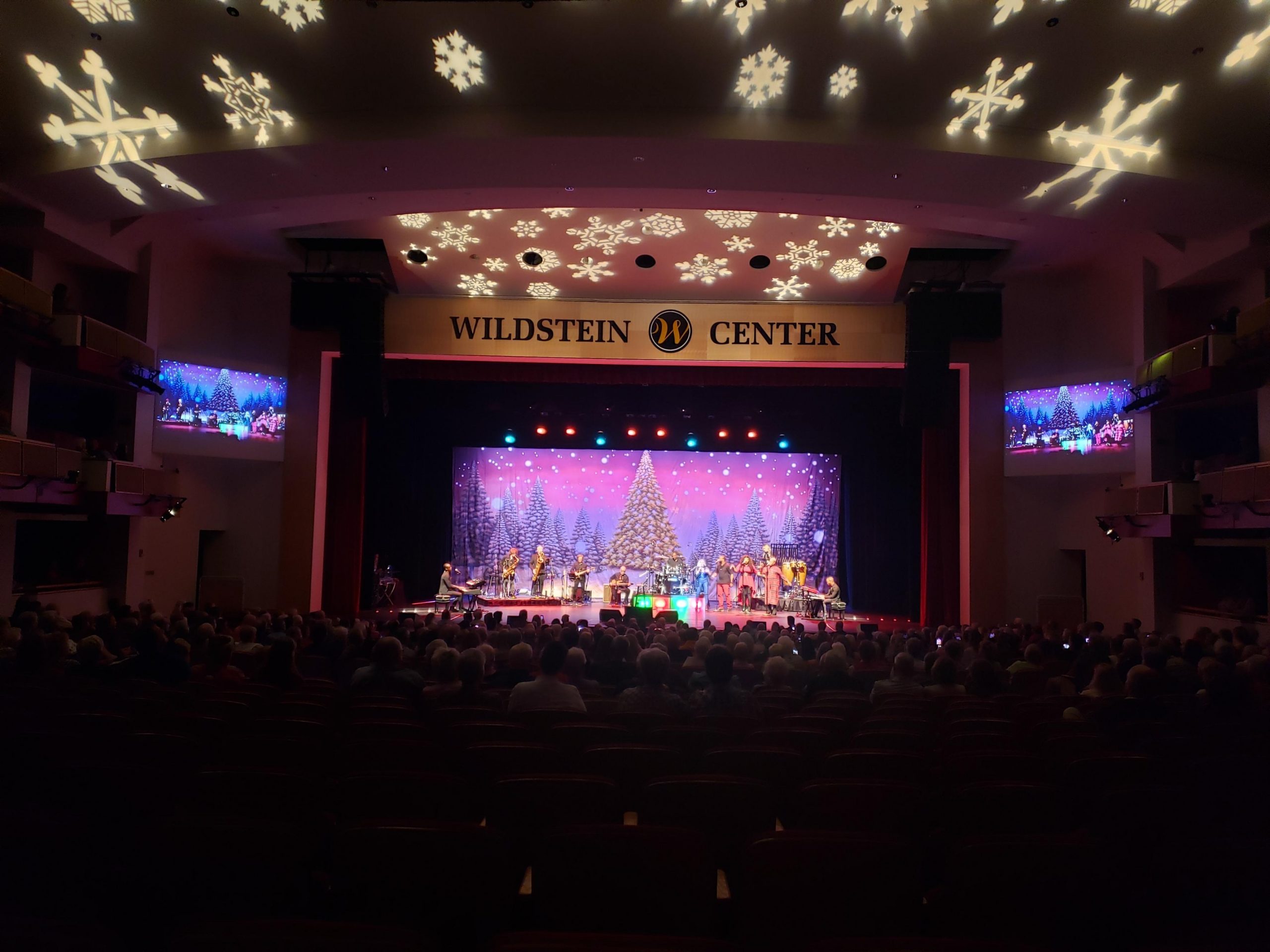 South Florida State College GOLDEN CHRISTMAS TREE Professional Scenic Backdrop