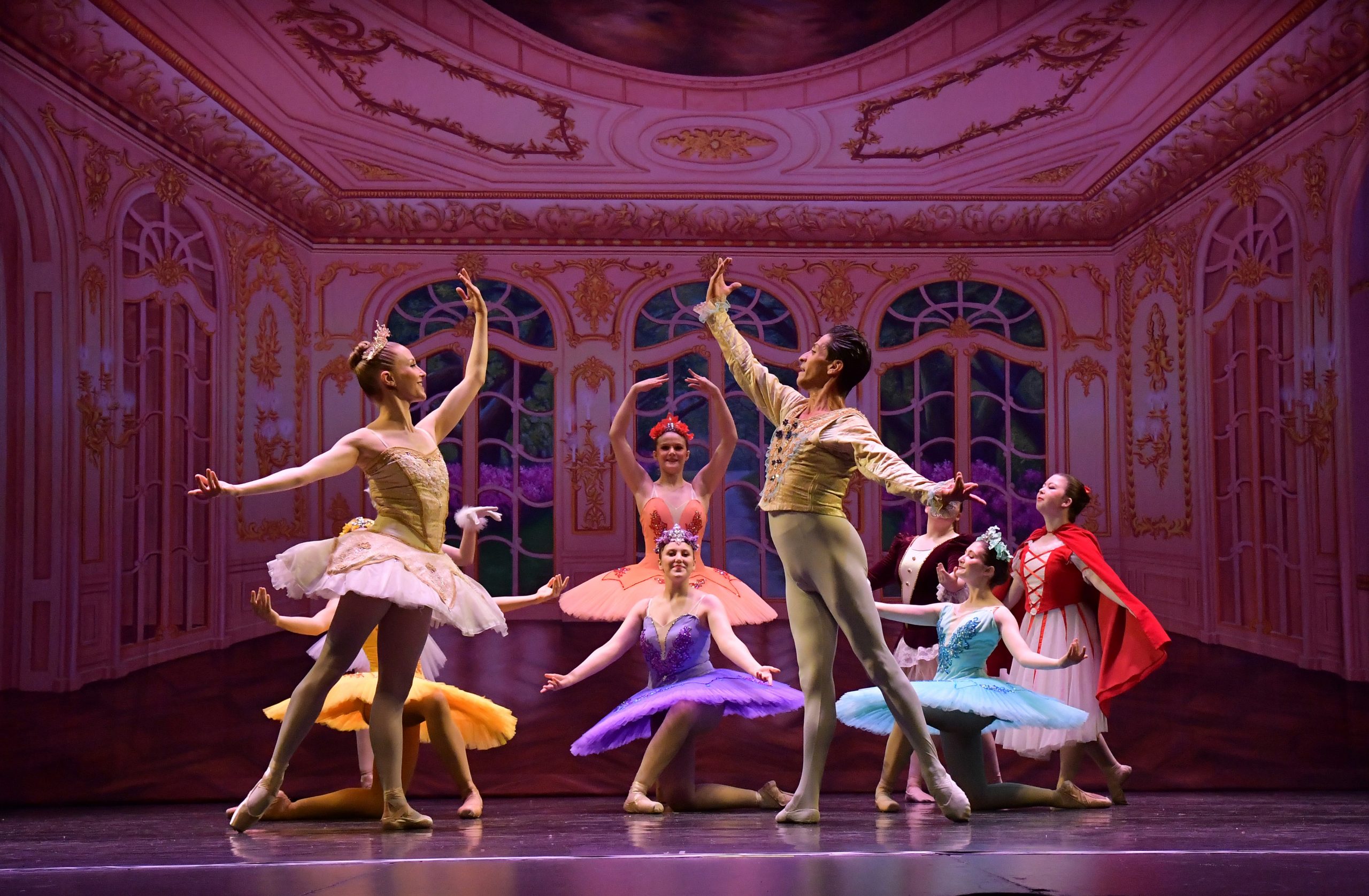 Bristol Ballet Professional Scenic Garden Ballroom Backdrop