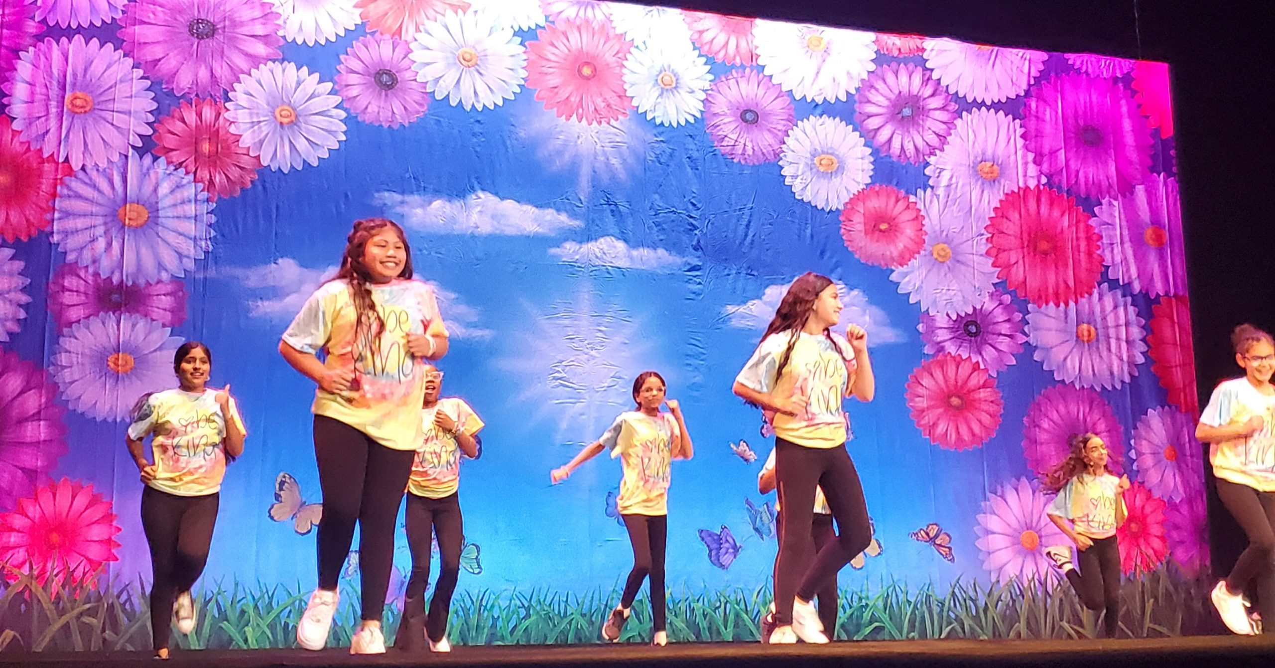 City of Bridgeport - Lighthouse Program Professional Scenic Daisies and Flowered Grasses Backdrop