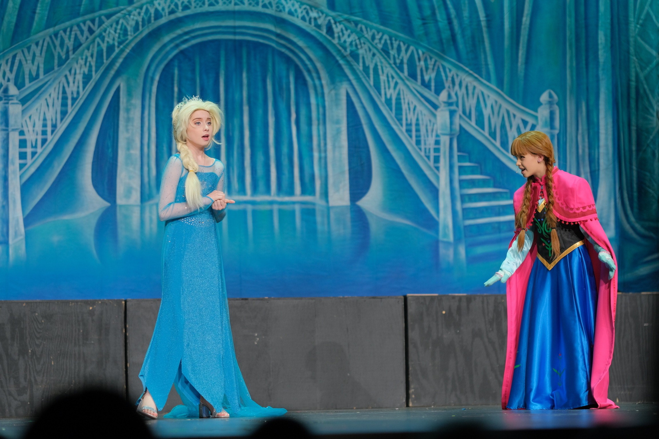 Hebron Christian Academy Ice Palace Foyer Backdrop