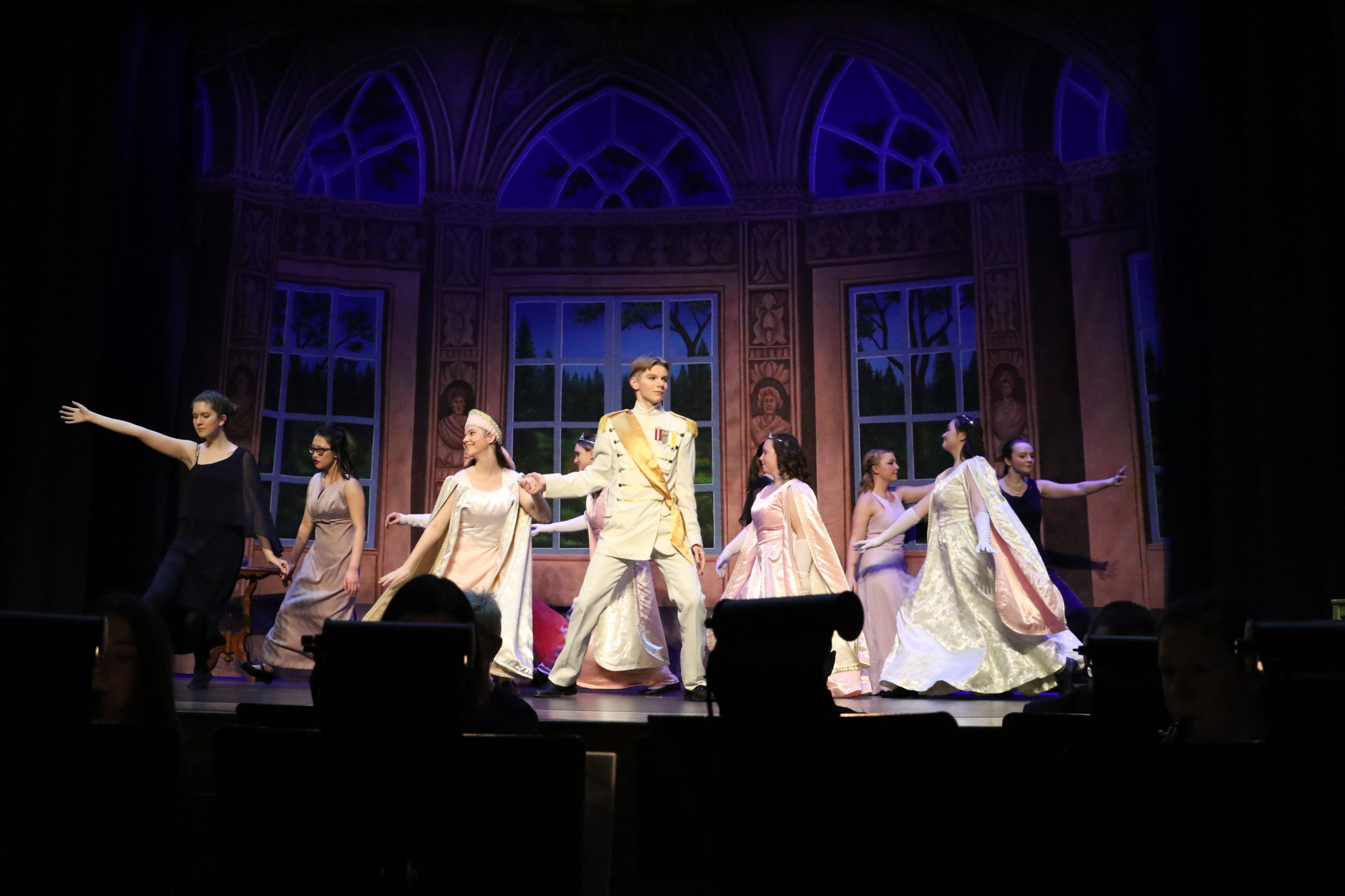 Mexico Drama Club Professional Scenic Baroque Ballroom Backdrop