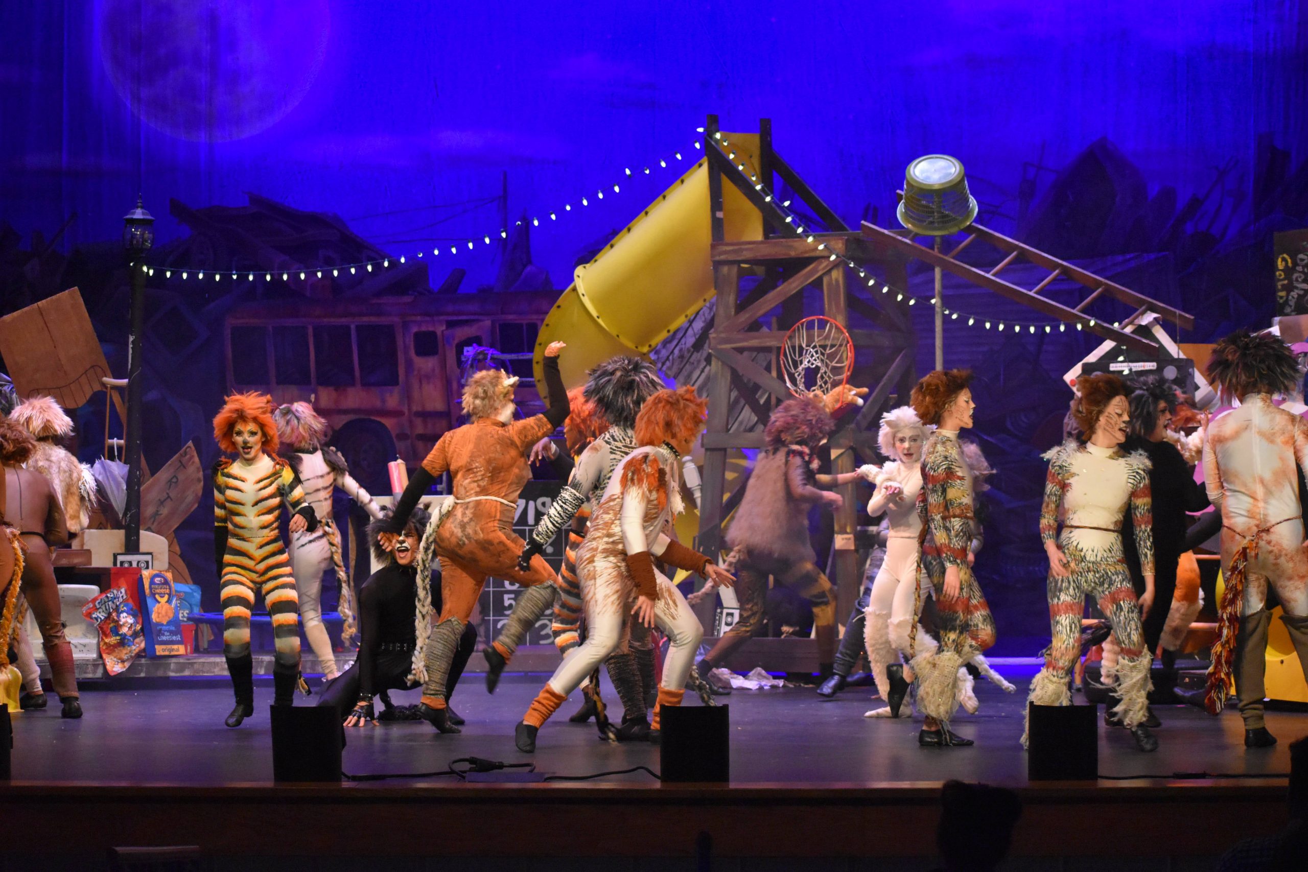 Wilmington High School Professional Scenic Junkyard Backdrop