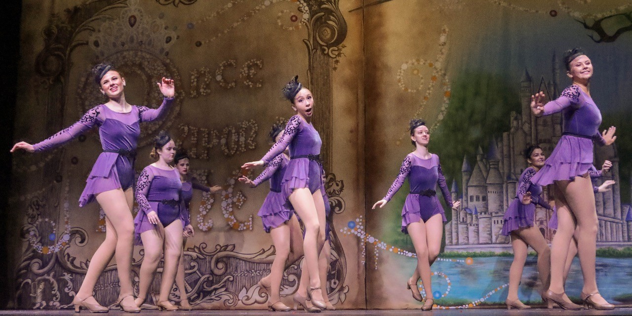 Storybook Professional Scenic Dance Backdrop