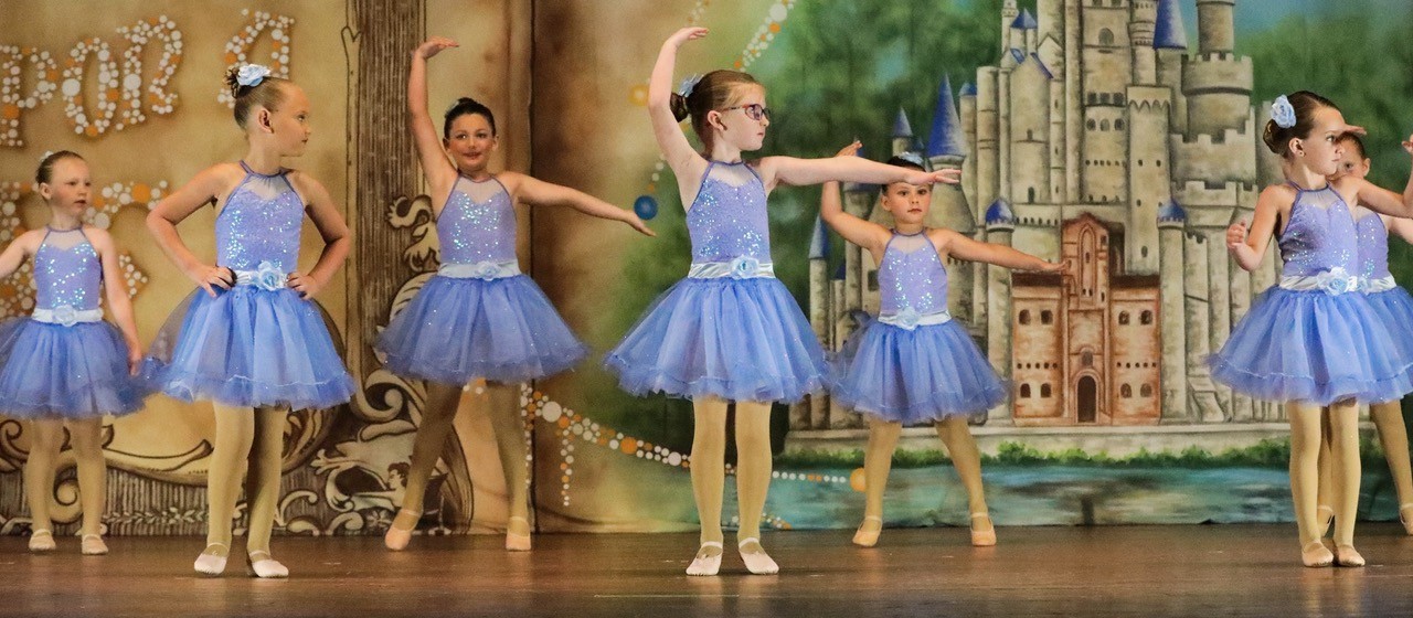 Storybook Professional Scenic Dance Backdrop