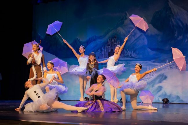 Romar Dance Studio Palaces on a Lake Professional Scenic Dance Backdrop