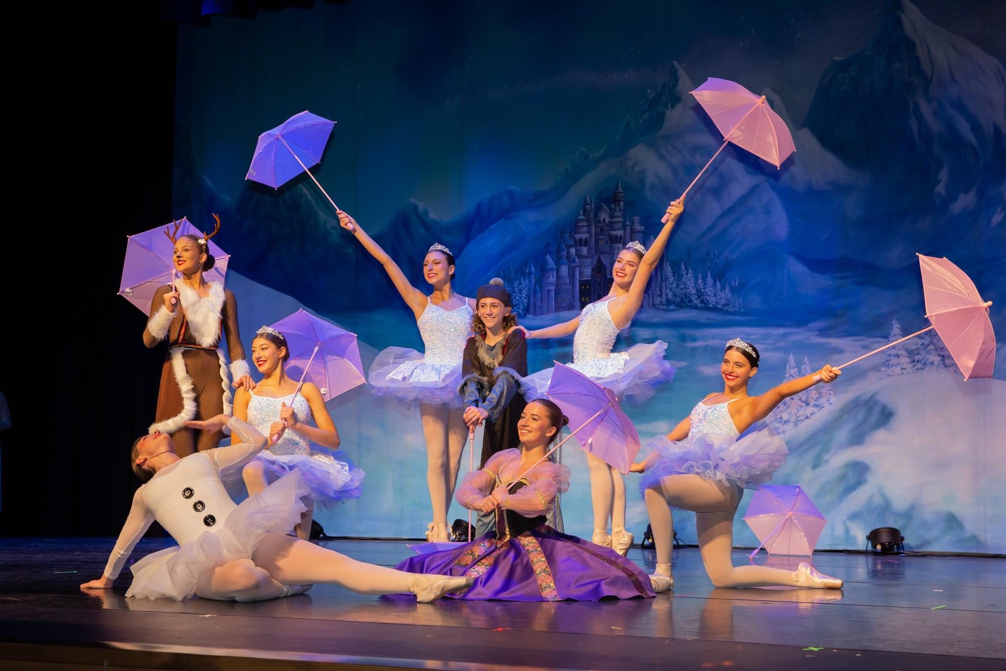 Romar Dance Studio Palaces on a Lake Professional Scenic Dance Backdrop