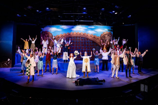 Children’s Theatre of Western Springs CASTLE PORTCULLIS Professional Scenic Spamalot Backdrop