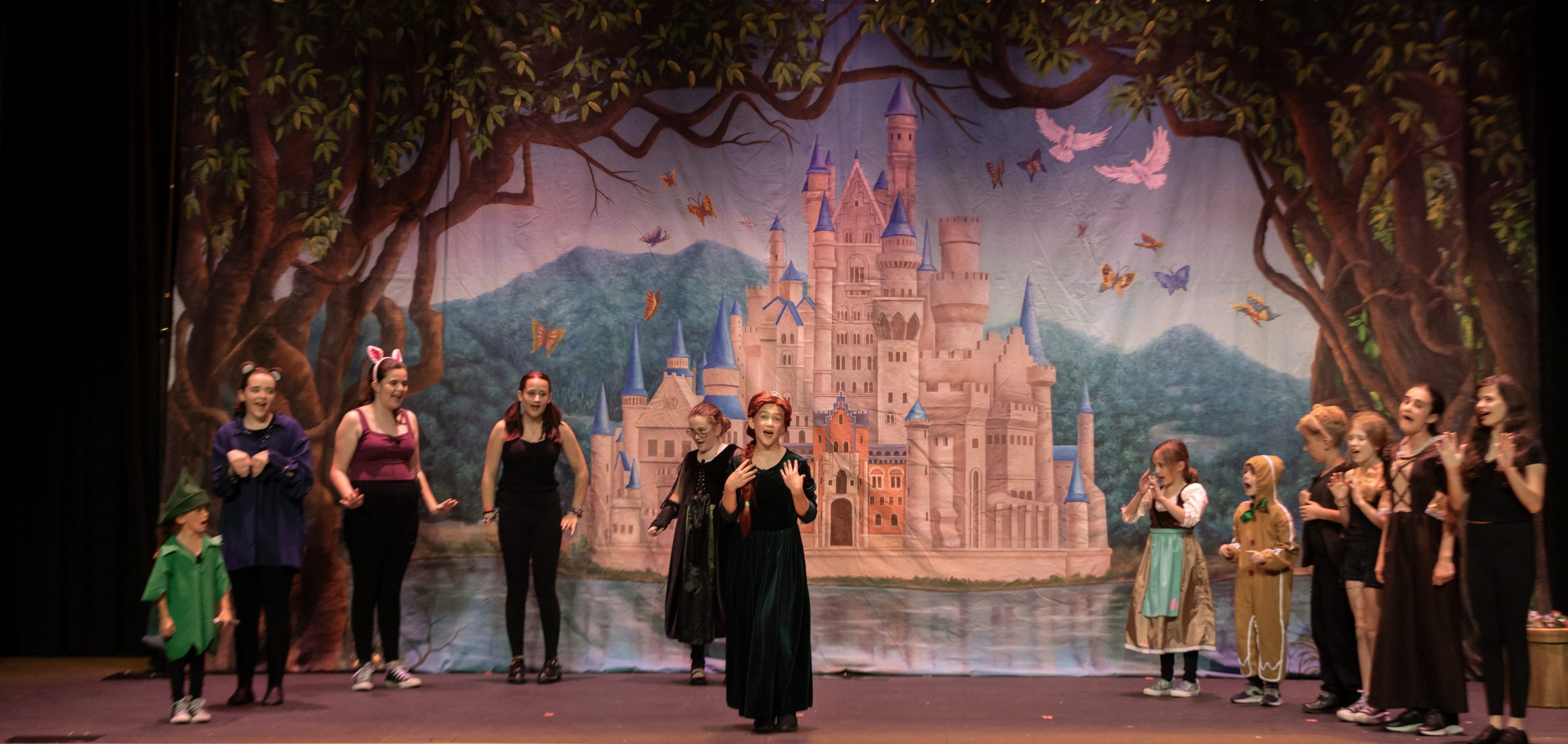 FAIRY TALE CASTLE Professional Scenic Cinderella Backdrop