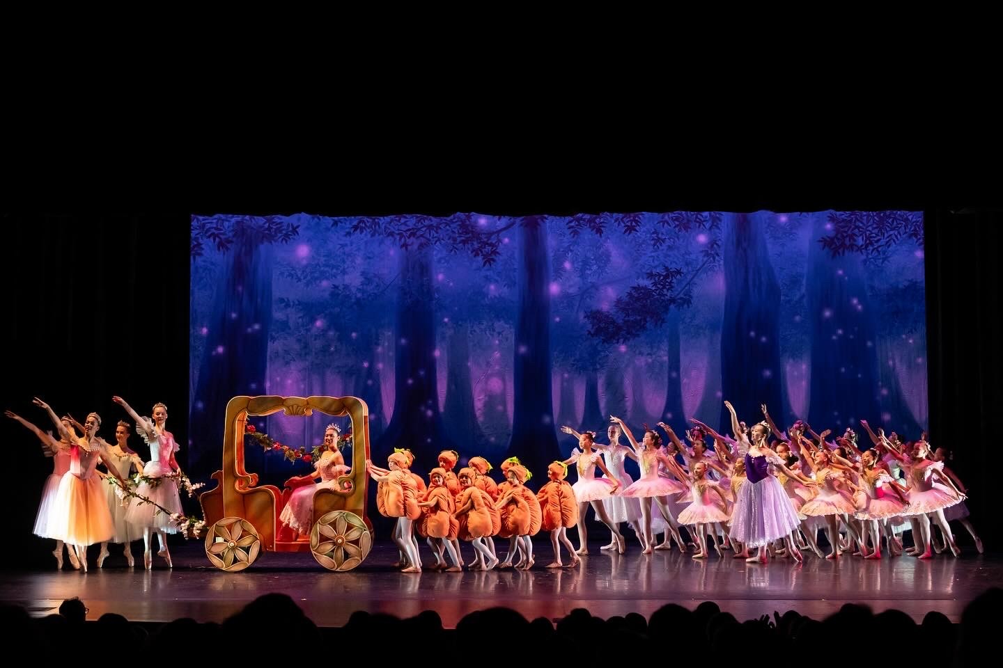 DARK ENCHANTED FOREST Professional Scenic Cinderella Backdrop