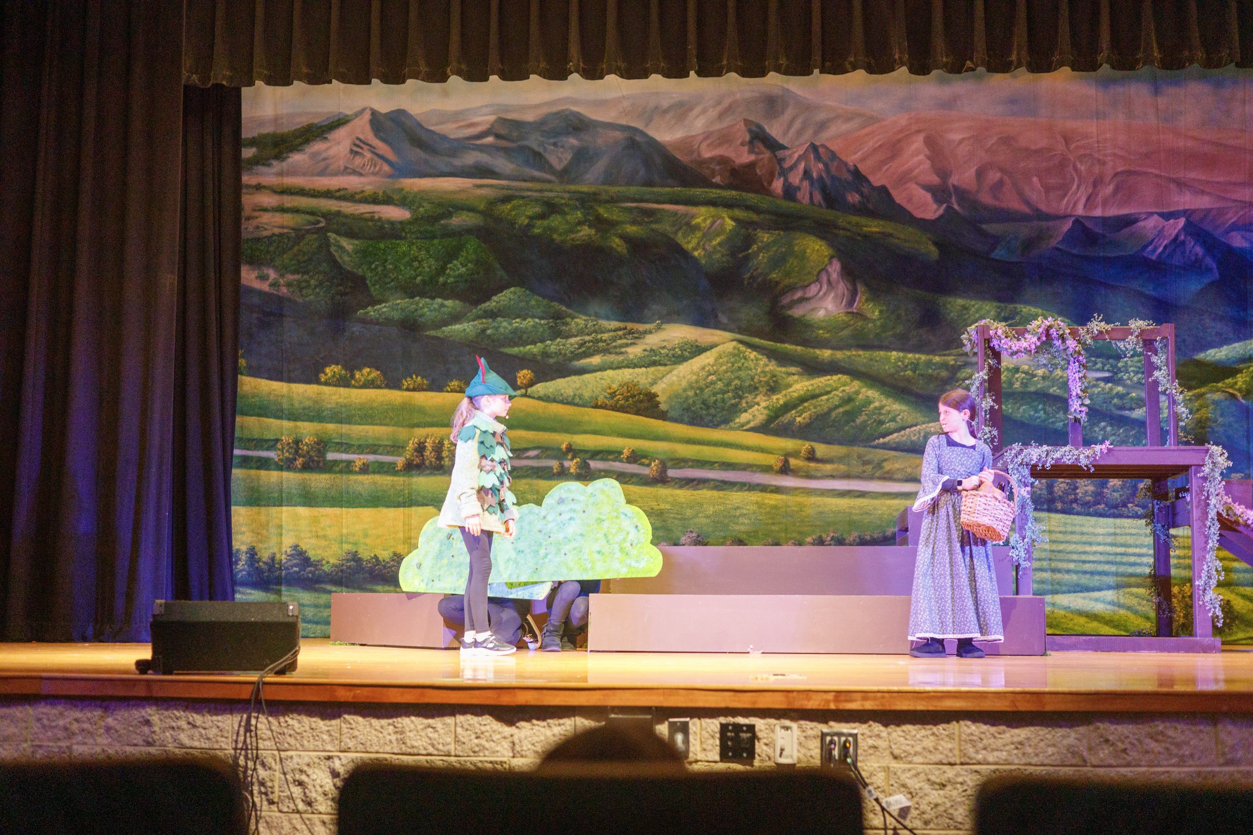 EUROPEAN COUNTRYSIDE Professional Scenic Sound of Music Backdrop