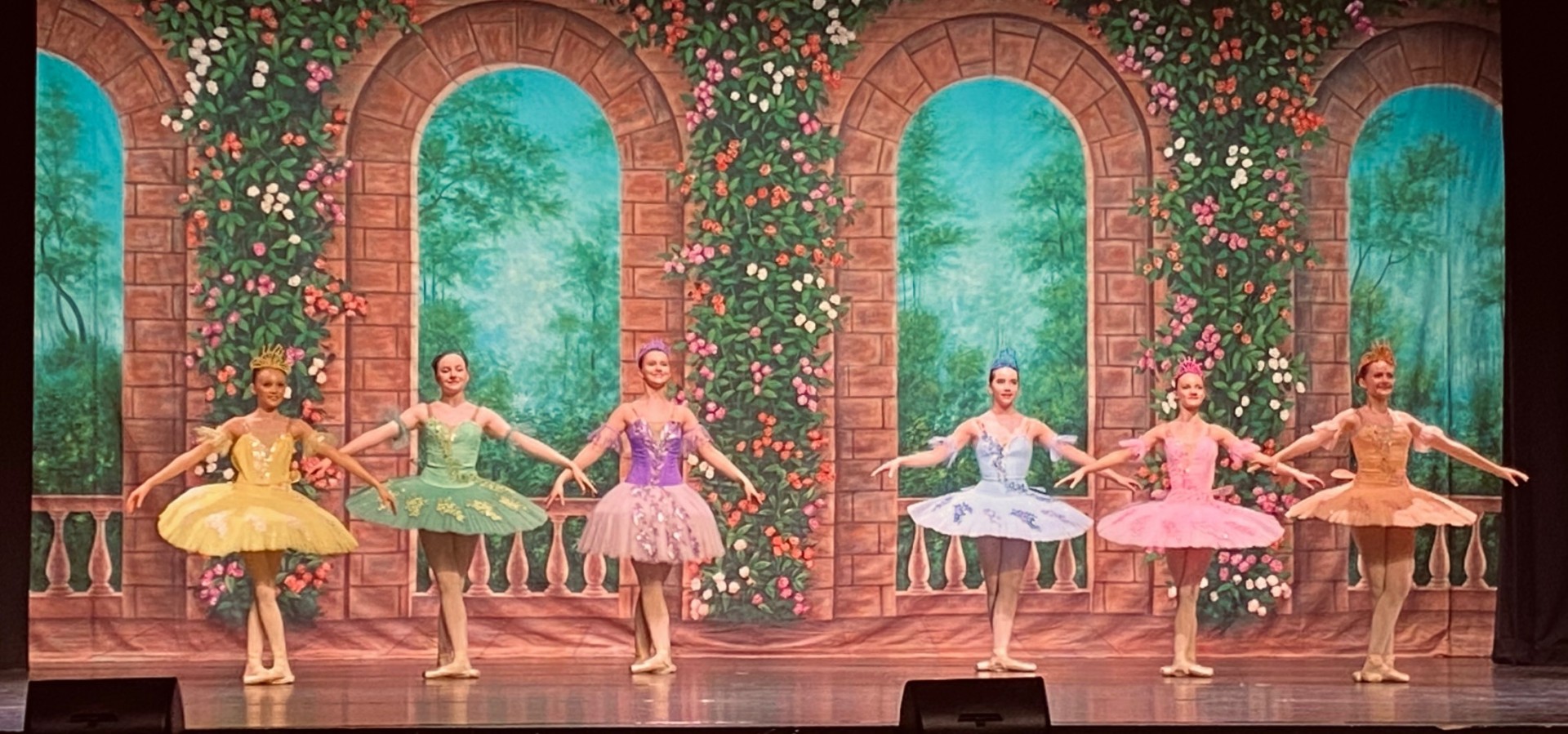 Rose Terrace Professional Scenic Dance Backdrop