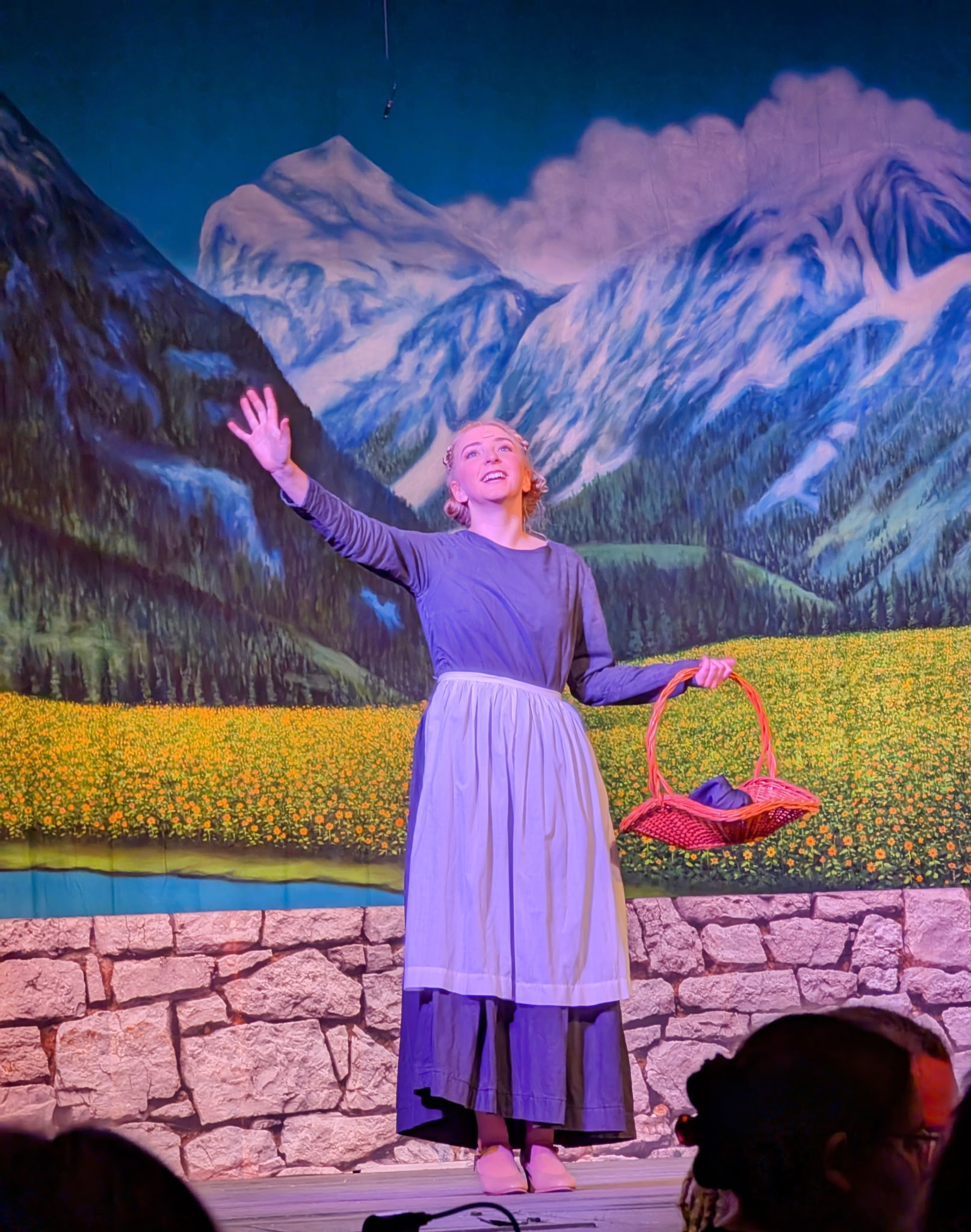 SWISS ALPS Professional Scenic Sound of Music Backdrop