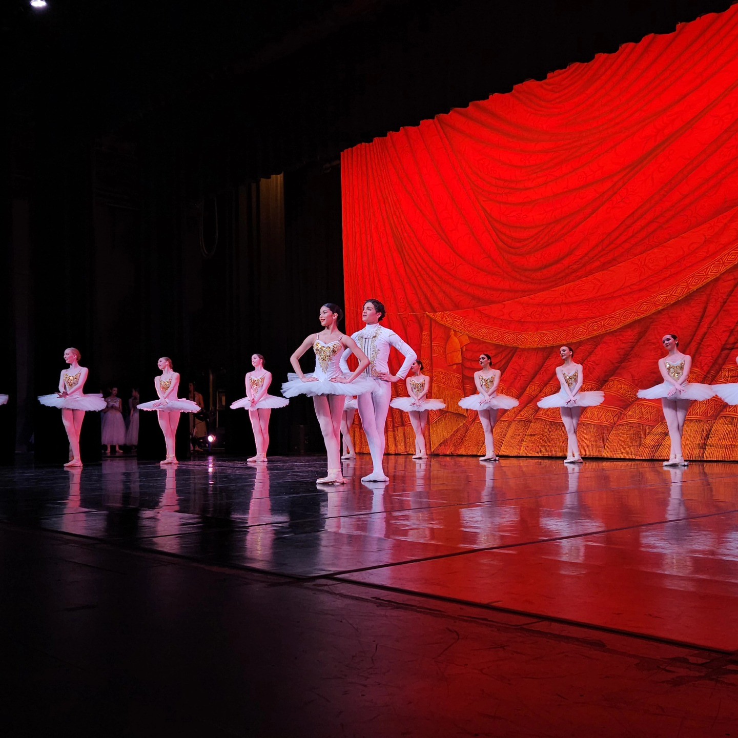 PARIS OPERA HOUSE DRAPE Professional Scenic Dance Backdrop