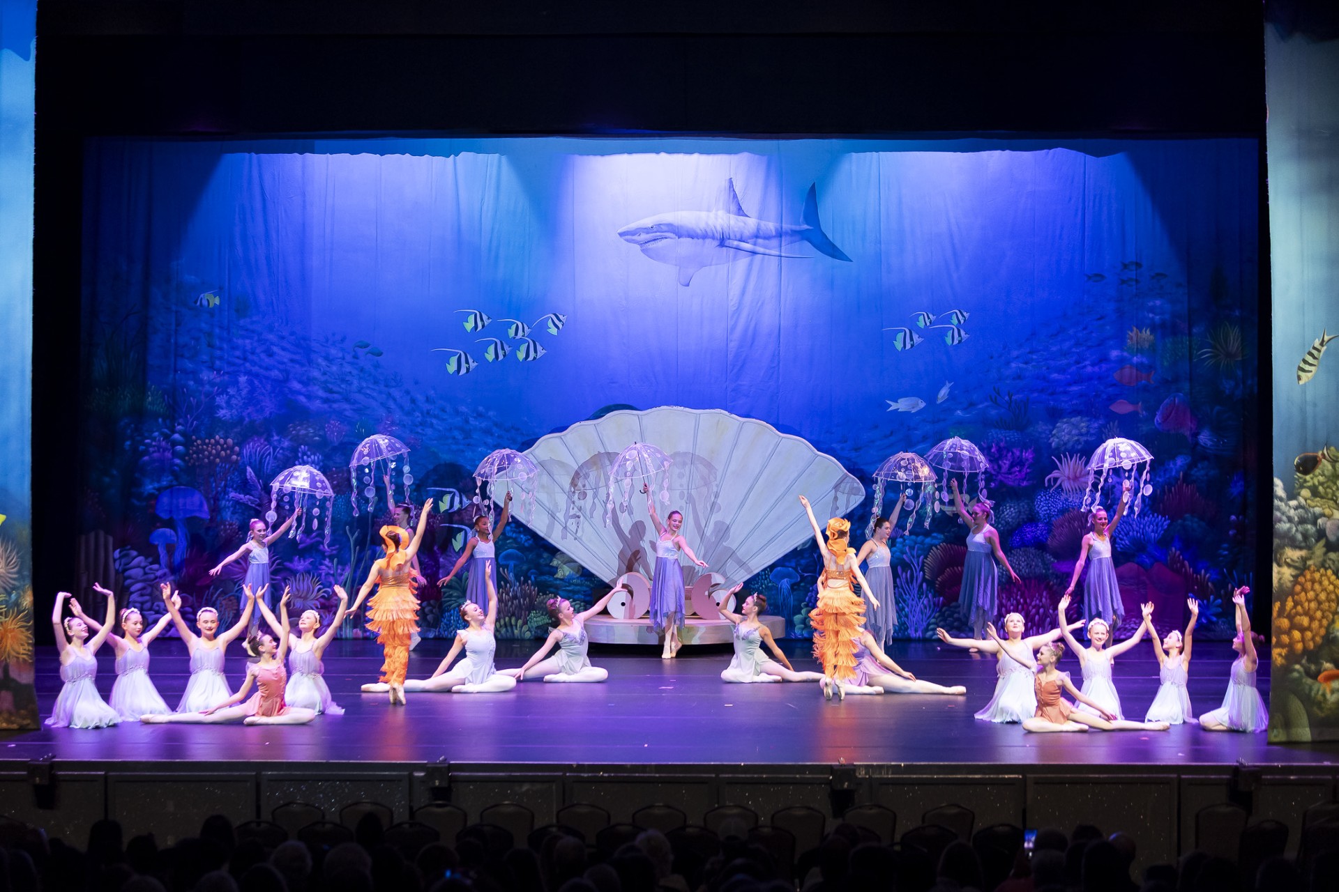 CORAL KINGDOM - B Professional Scenic Dance Backdrop