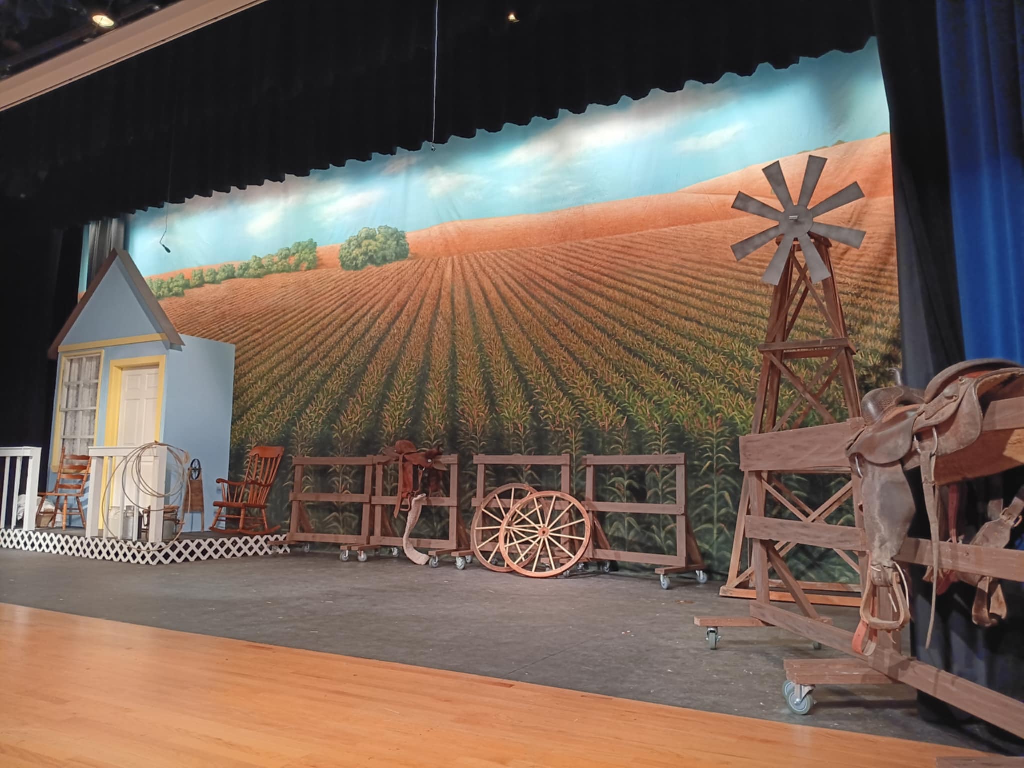 Cornfield Professional Scenic Backdrop