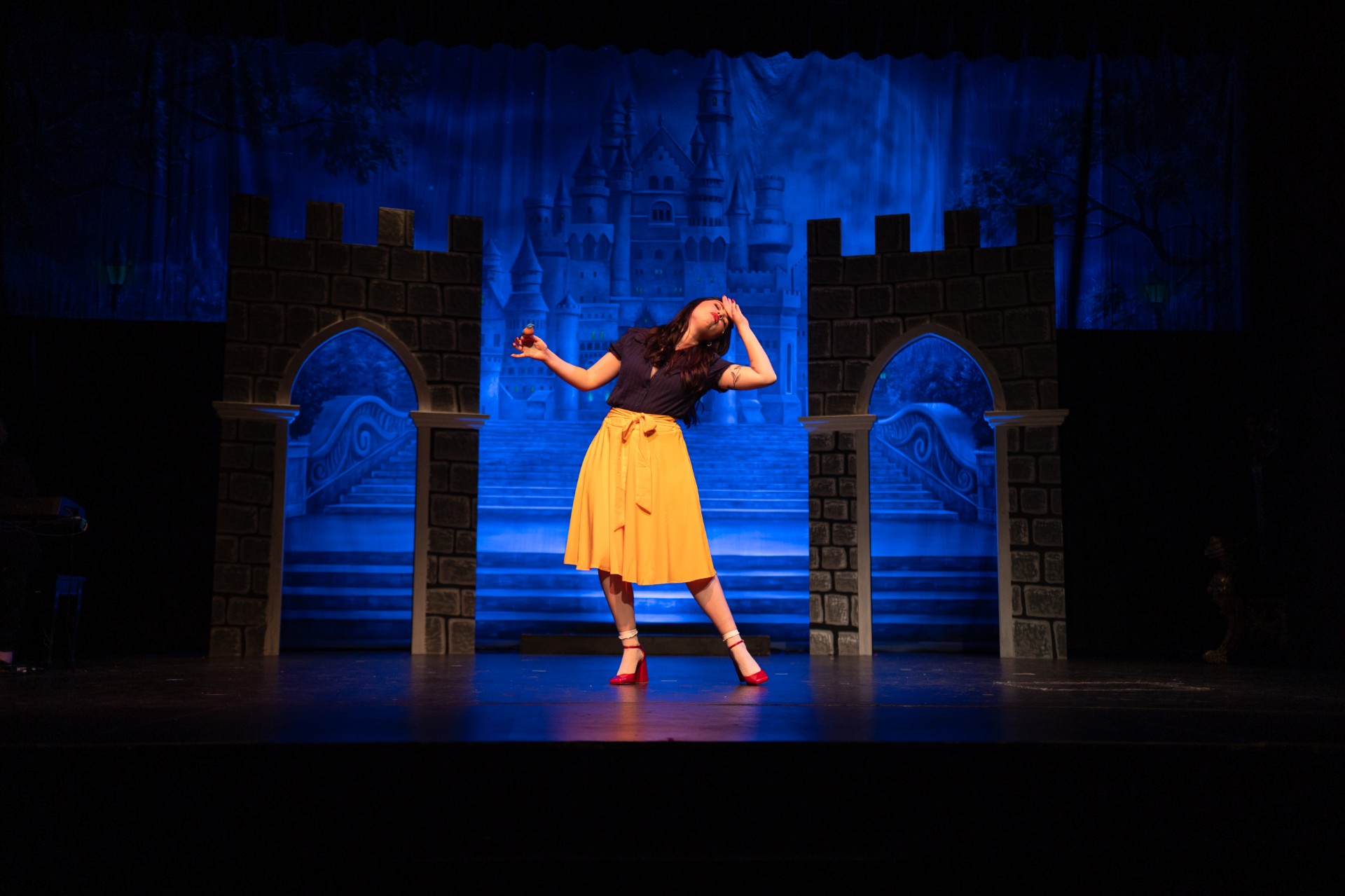 ENCHANTED CASTLE Professional Scenic Disenchanted Backdrop