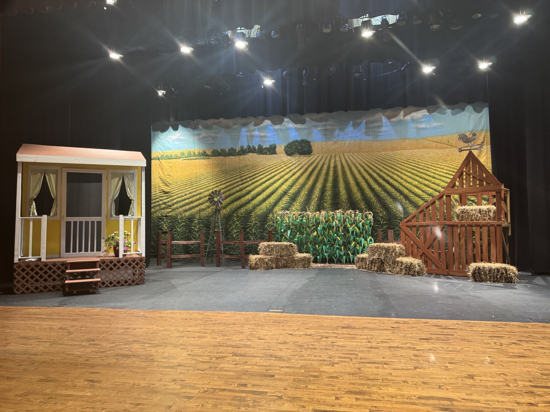 Cornfield Professional Scenic Backdrop