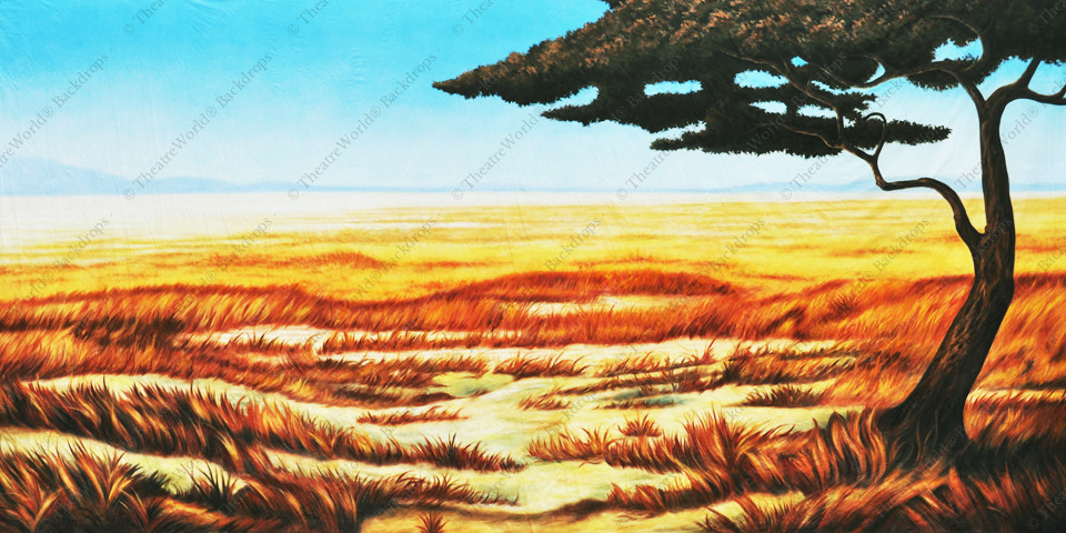 Tranquil Grasslands