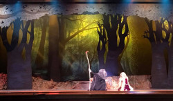 Into The Woods