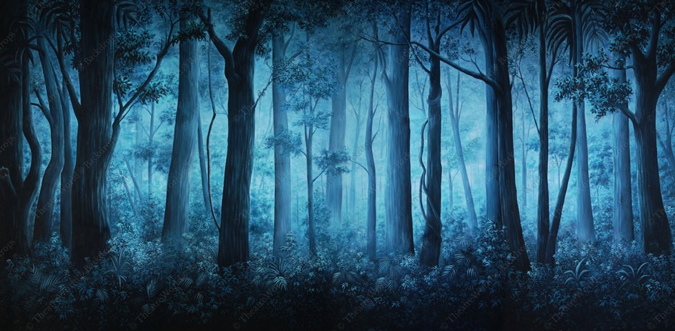 Foggy Forest Daybreak