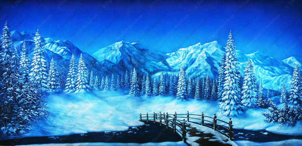 Winter Mountain Stream
